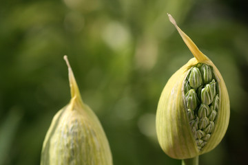 Aufbruch