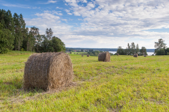 Haystacks on a field