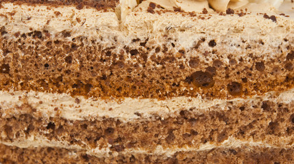 texture of the cake