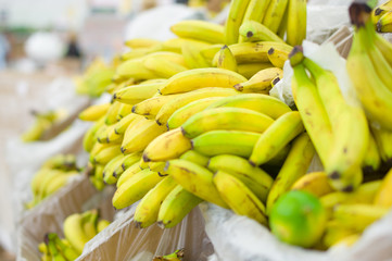 Bunch of yellow and green bananas in supermarket © Joshhh
