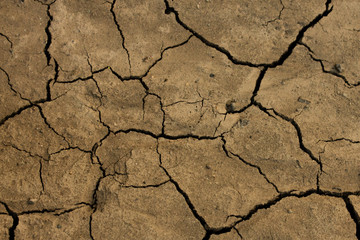 cracked ground