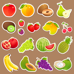 vector illustration of collection of various fresh fruit