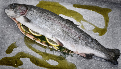 Fisch backen. Vorbereitung. HDR