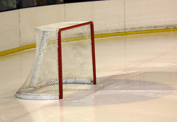 Porta da hockey © Minnitre