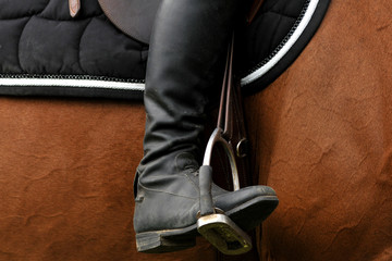 équitation