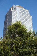 Obraz premium New York City building