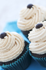 Cupcakes