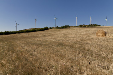pale eoliche, energia eolica e rinnovabile