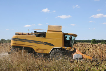 Fototapeta premium Agricultural machinery, work in the field.