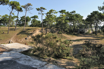 bunker