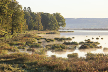 Morning misty lake