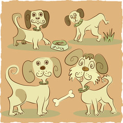 four little funny dog