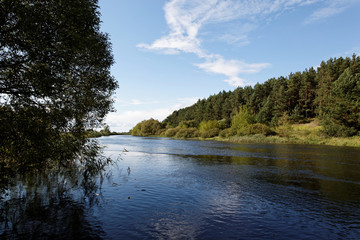 Obraz premium Landscape - meadow, the blue sky and river