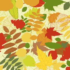 Autumnal bright leaf background vector eps 8