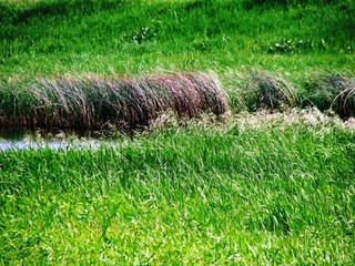 ручей © kutomor