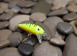 Fishing Lure