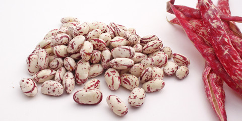 Préparation de la soupe