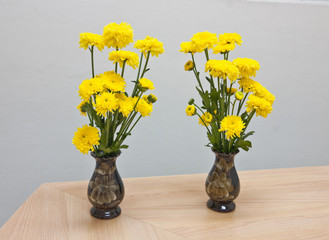 Vases of yellow Chrysanthemums
