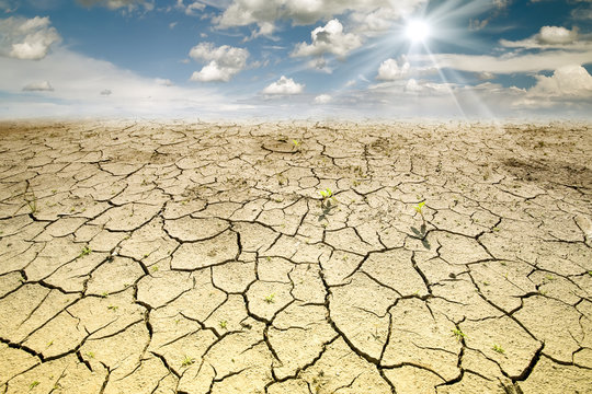 Land with dry and cracked ground. Desert