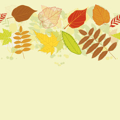 Autumnal bright leaf seamless vector eps 8