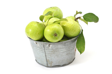 Fresh apples in metallic can isolated on white