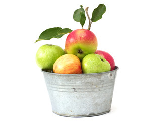 Fresh apples in metallic can isolated on white