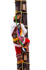 Traditional Mayan Flyer Man Climbing a Tree