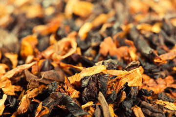 Smoking tobacco