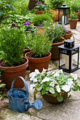 Stilleben im Garten, Still life in a garden