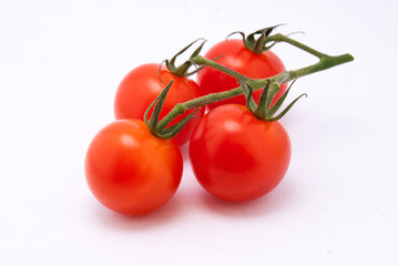 Cherry tomatoes on the vine on white background