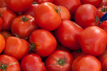 Tomates