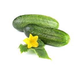 Two Cucumber Vegetables with Leaf and Flower Isolated on White