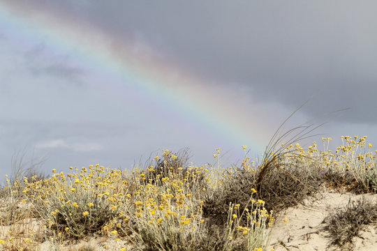 arc en ciel sur la dune