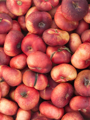 Nectarinas