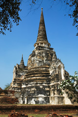 Fototapeta premium The stupa buddha and sky