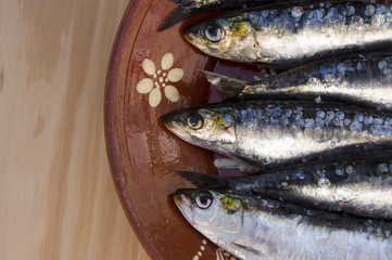Sardines