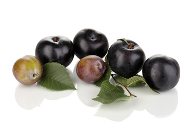 Rip plums isolated on white