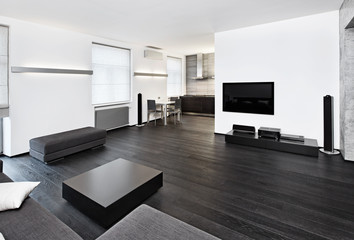 Modern minimalism style sitting room interior in black and white