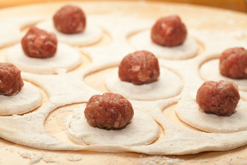 Meat dumplings