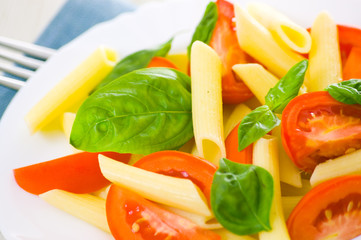 Pasta salad with tomatoes and fresh basil leaves