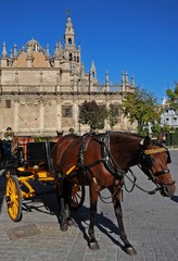 Fototapeta na wymiar Horse & carriage outside Cathedral, Seville © Arena Photo UK