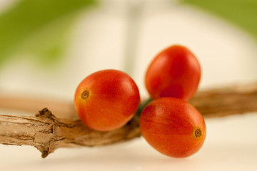 cerises de café