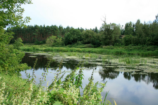 Rzeka Wkra