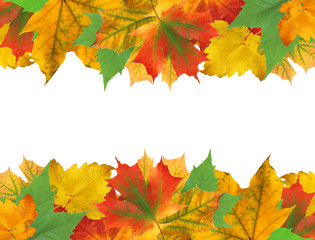 Autumn leaves frame over white for your text
