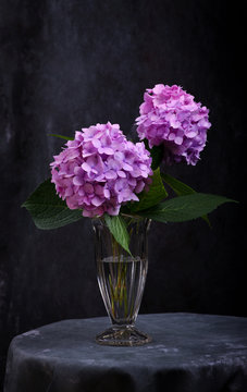 Hortensia flowers in glass vase
