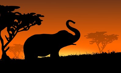 Fototapeta na wymiar Elefant in Afrika - Sonnenuntergang