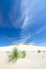 dunes in a  Slowinski National Park, Poland