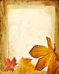 Naklejka na ściany i meble stary album z suchych liści jesienią