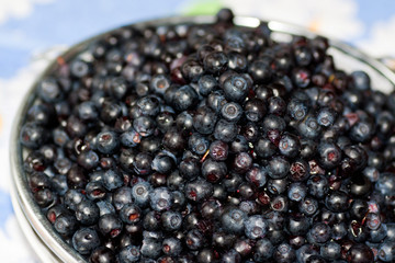 bilberry in a plate
