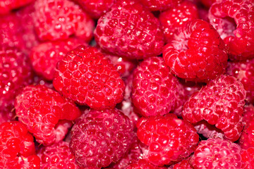 berries of raspberry